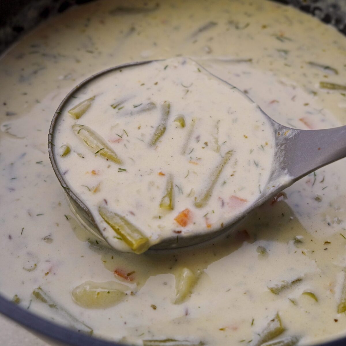 Ladle full of creamy green bean soup, ready to be poured into a bowl.