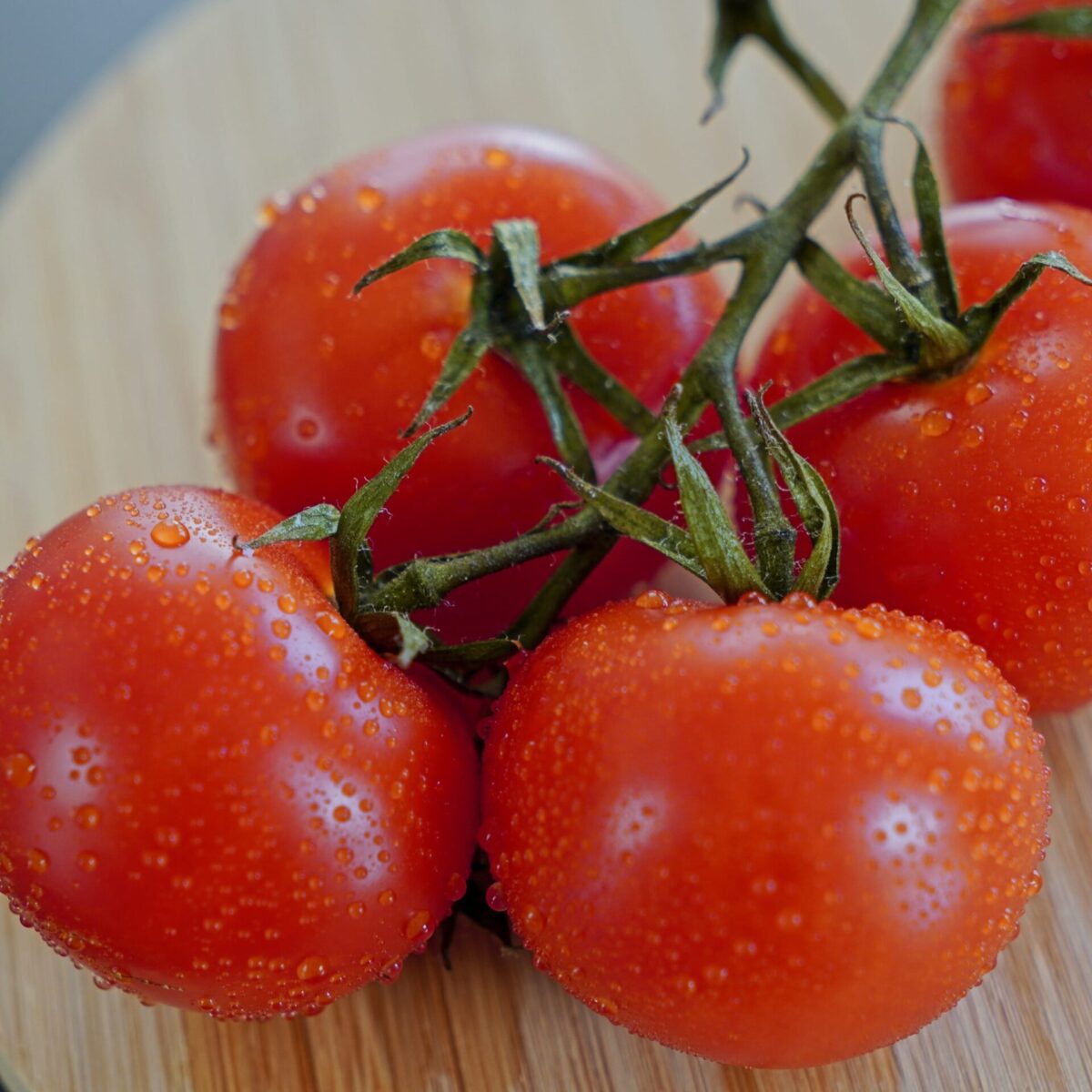 Fresh tomatoes prepared for making creamy tomato sauce.